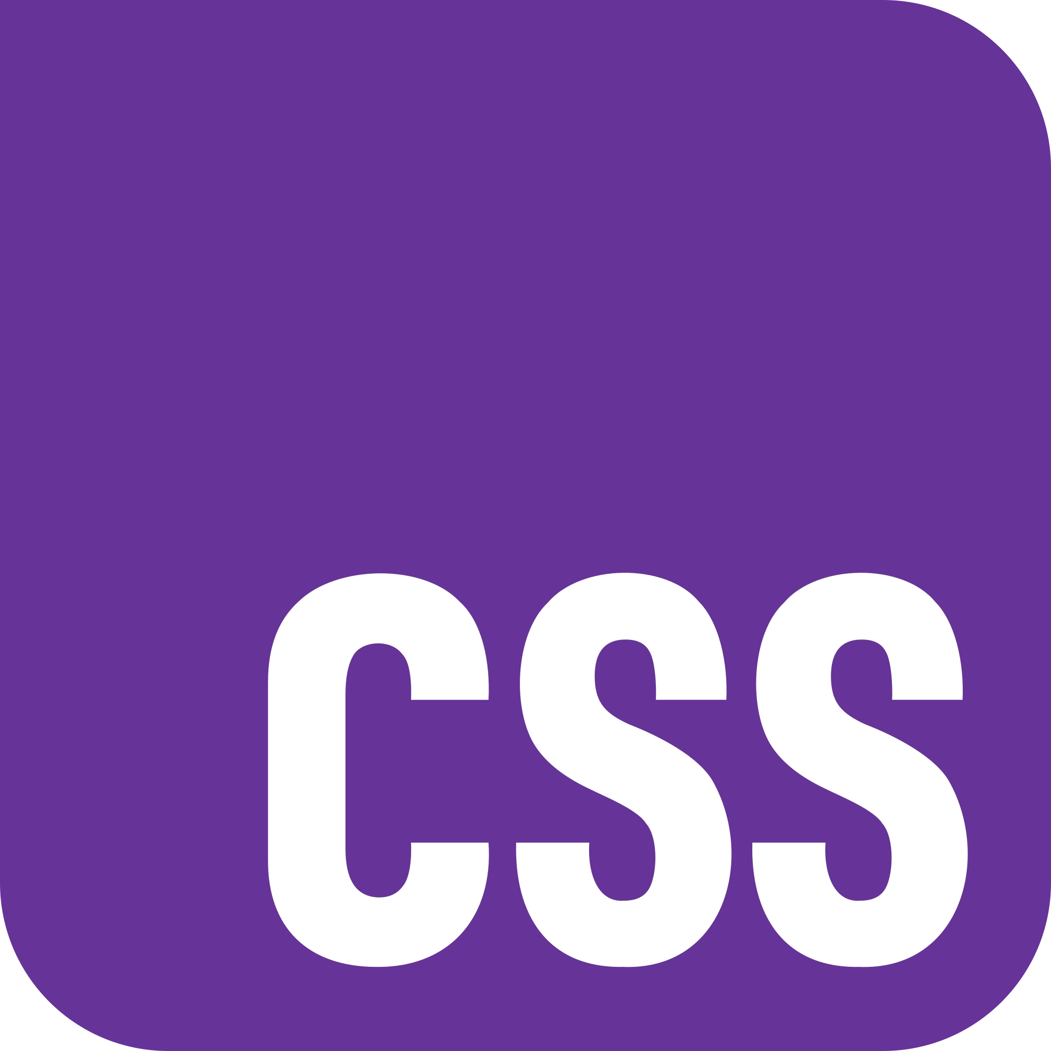 CSS Icon